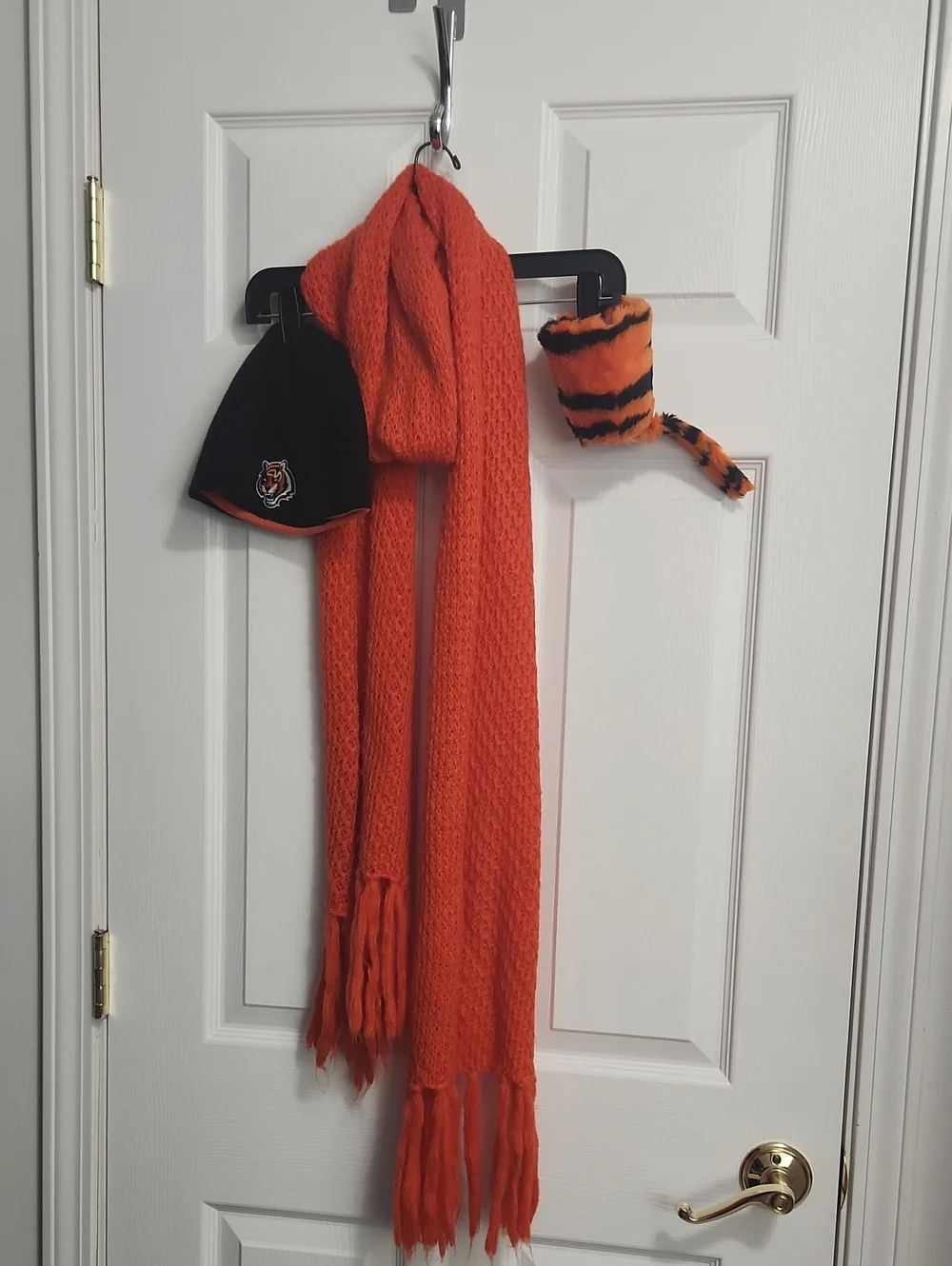 Bengals Accessory Bundle Koozy, Reverable Beanie, & Scarf